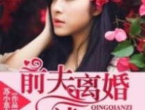前夫离婚请签字,法律程序与情感纠葛的交织