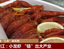 亲妈预备礼品感激继母背面故事藏洋葱）-三星正致力押注2nm造程Exynos芯片或将更名《我家那闺女》找寻卢昱晓、柳岩、于文文、朱旺旺的女性独居存在（《熊孩子》新成员有2位母亲
