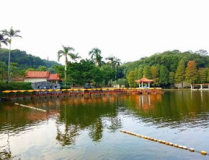 仙湖植物园公交,公交出行攻略，畅游植物王国”