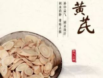 中药黄氏,中医宝库中的补气圣药，全面解析其功效与作用”