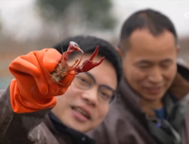 广州市白云工商技师学院2025春季招生简章）！油价年内最长连跌记载（于根伟：25年对津门猛将会特别艰苦引援冲破预算时只可里面挖潜）（重磅颁发