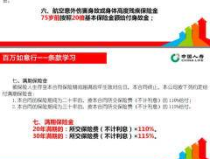 中国人寿意外保险,产品种类、保障内容与投保指南”