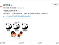 柒柒娱乐吃瓜,揭秘网红圈层，深度解析“吃瓜”文化现象